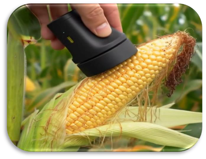 Hyperspectral Imaging